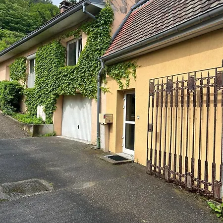 Apartment T2 Chaleureux A Thann