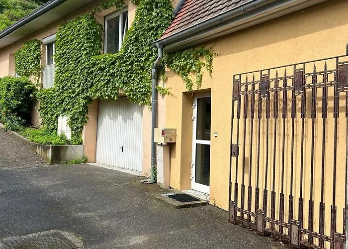 Appartement T2 Chaleureux A Thann